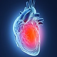 دارویی جدید برای درمان آریتمی قلب